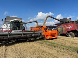 В Кемеровском округе идет уборка зерновых и зернобобовых культур, картофеля и овощей открытого грунта